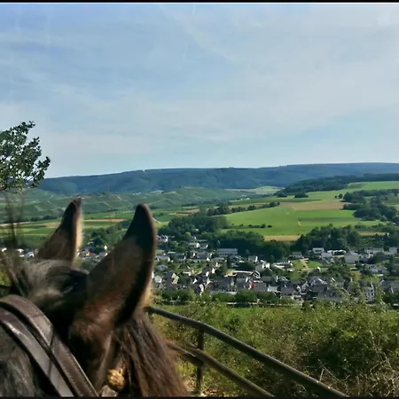 Апартаменты Premium Kahuna - Rizas Hills