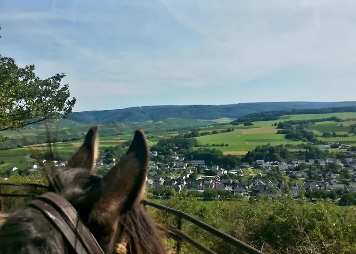 Апартаменты Premium Kahuna - Rizas Hills