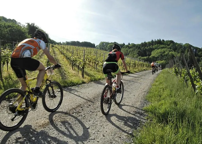 Premium Kahuna - Rizas Hills Apartment Traben-Trarbach